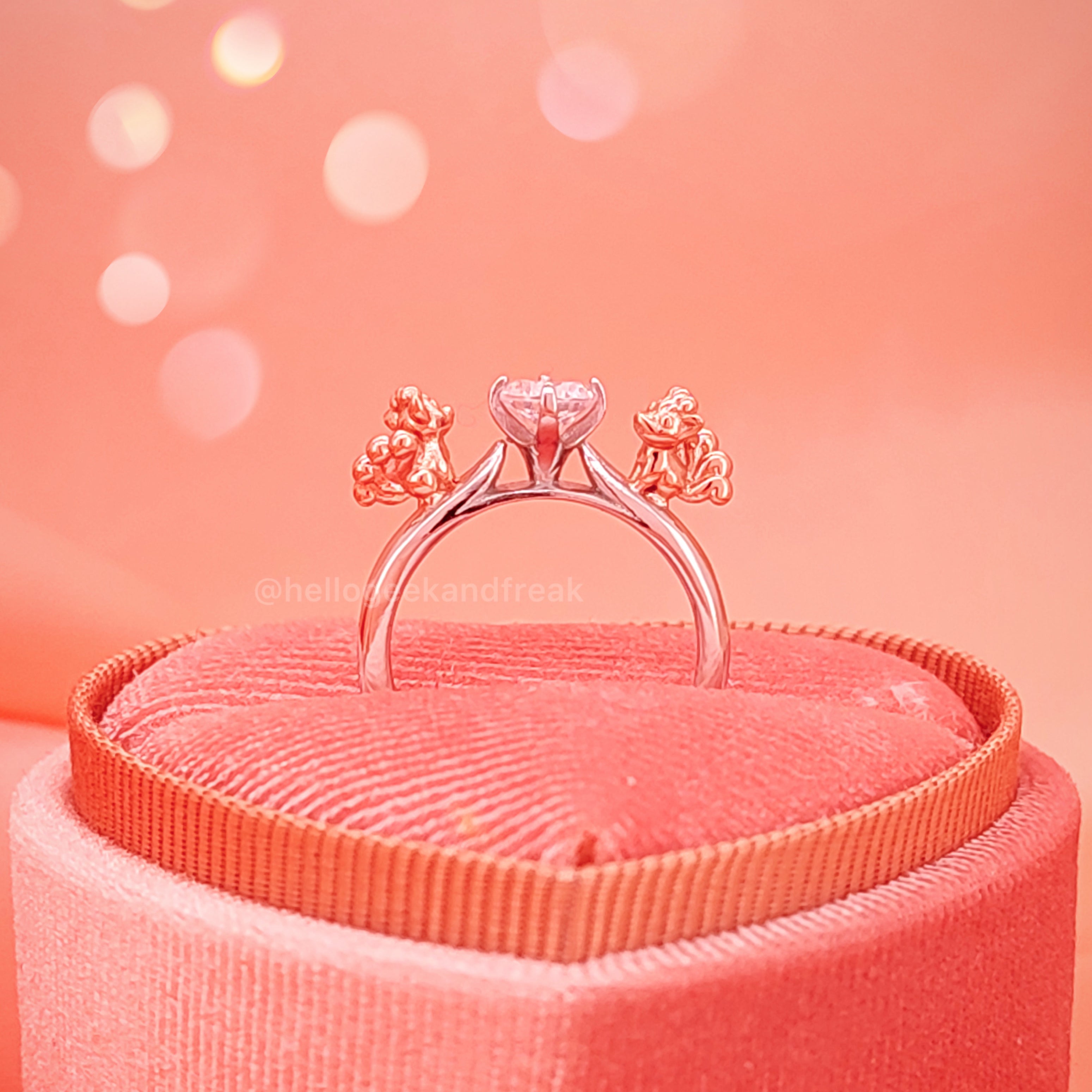 Anillo Fox