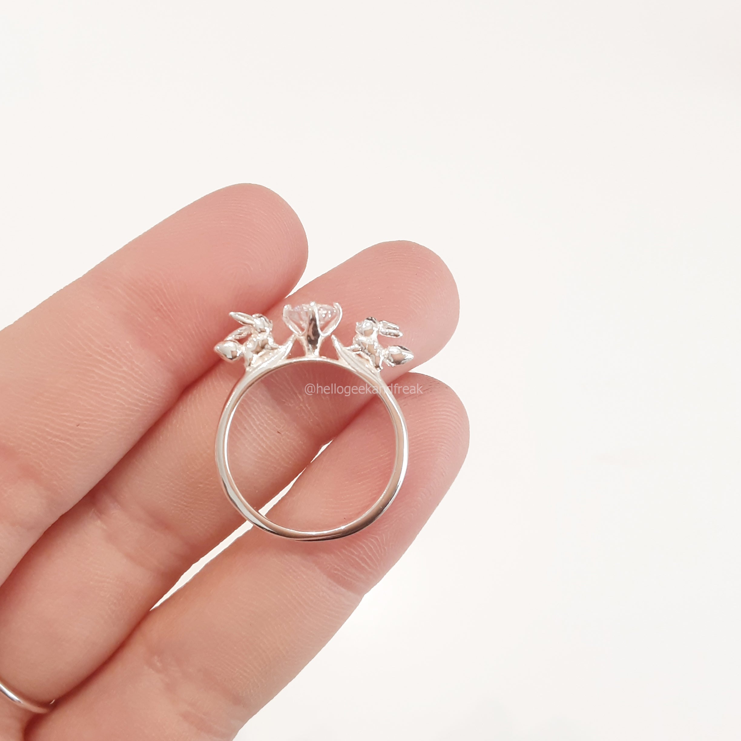 Anillo Evolución