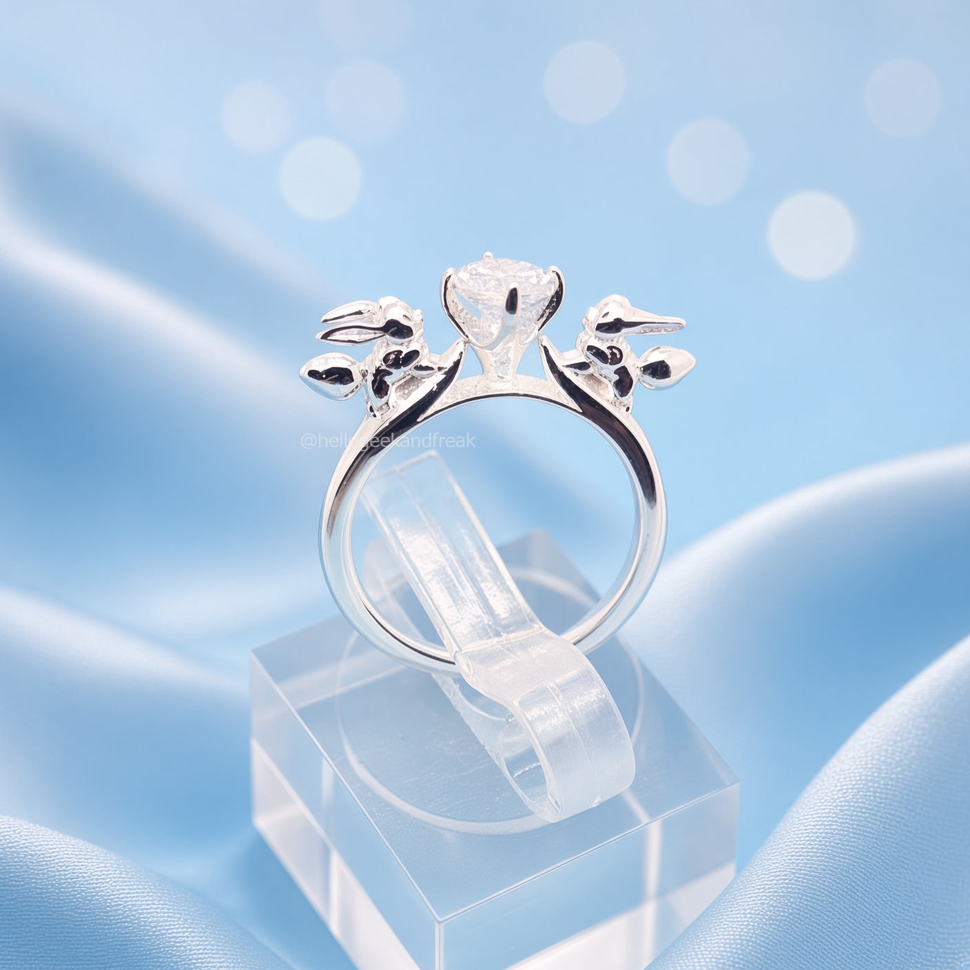 Anillo Evolución
