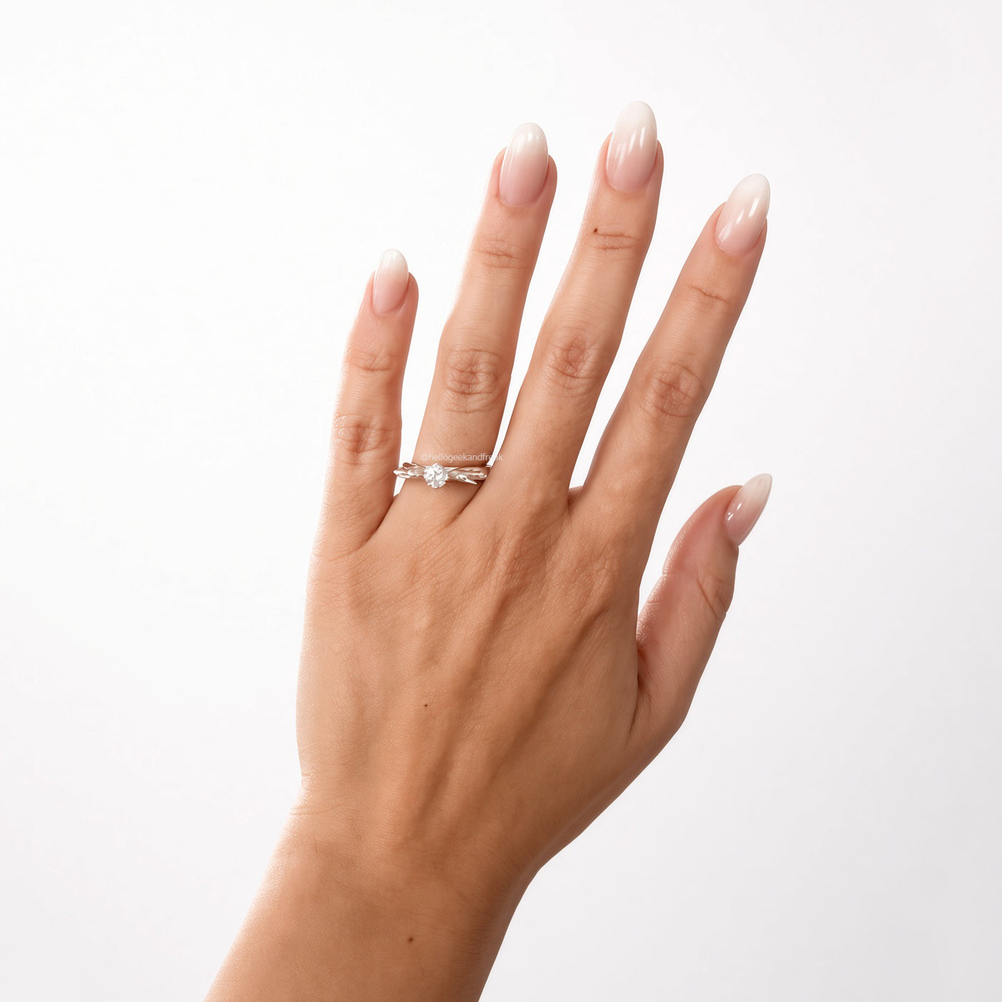 Anillo Evolución